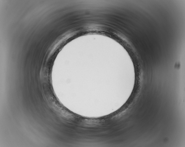 X0000112490825200909281131