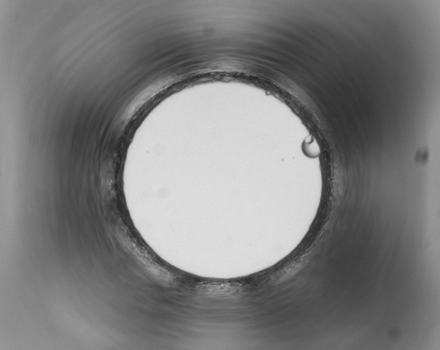 X0000112490826200909281131