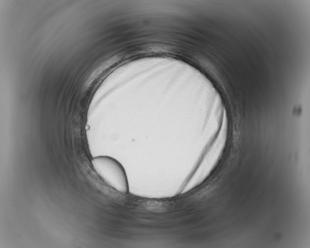X0000112490827200909281131