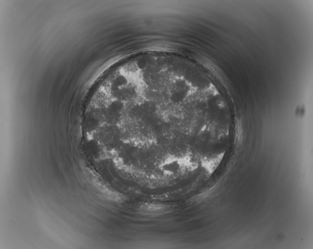 X0000112490829200909281131