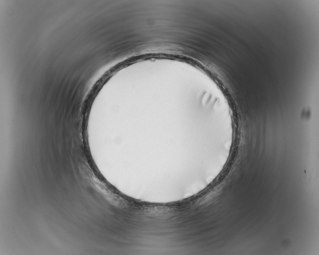 X0000112490830200909281131