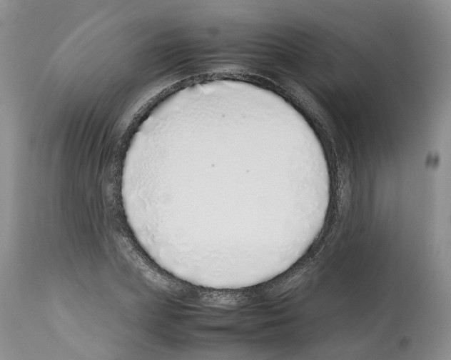 X0000112490831200909281131
