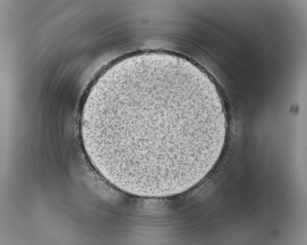 X0000112490832200909281131