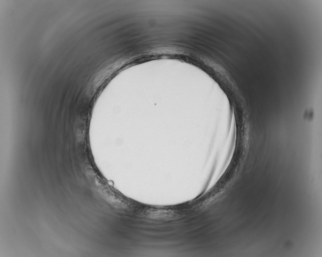 X0000112490833200909281131