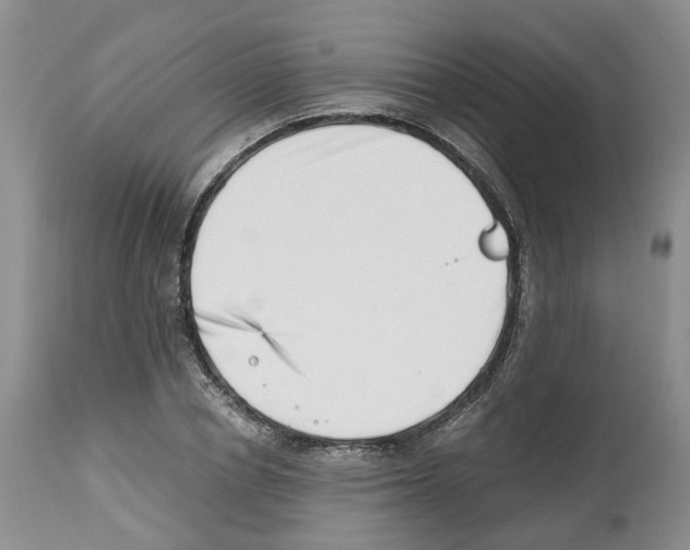X0000112490834200909281131