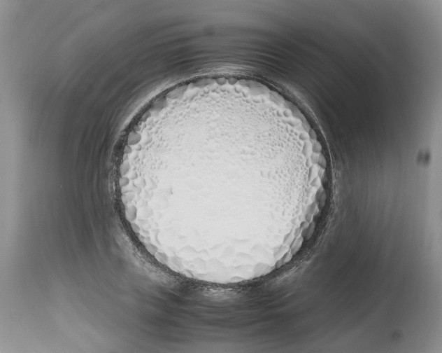 X0000112490835200909281131