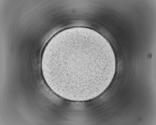 X0000112490836200909281131