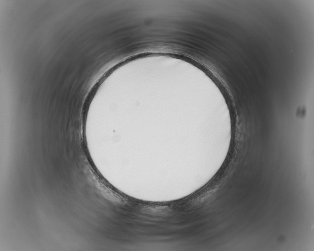 X0000112490837200909281131