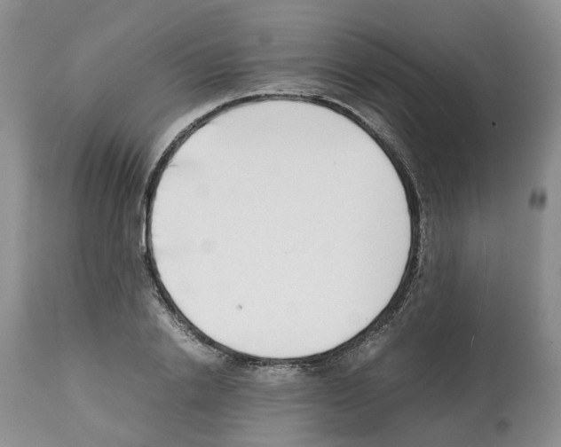 X0000112490838200909281131