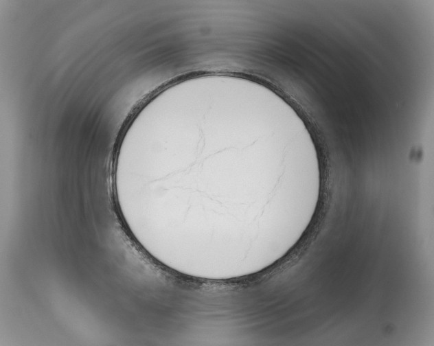X0000112490840200909281131