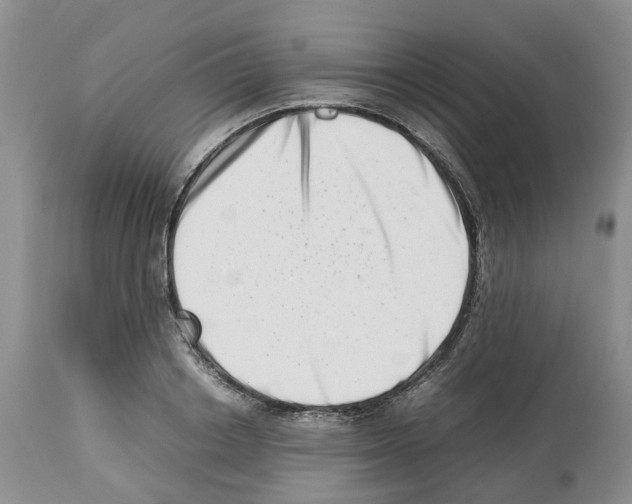 X0000112490842200909281131