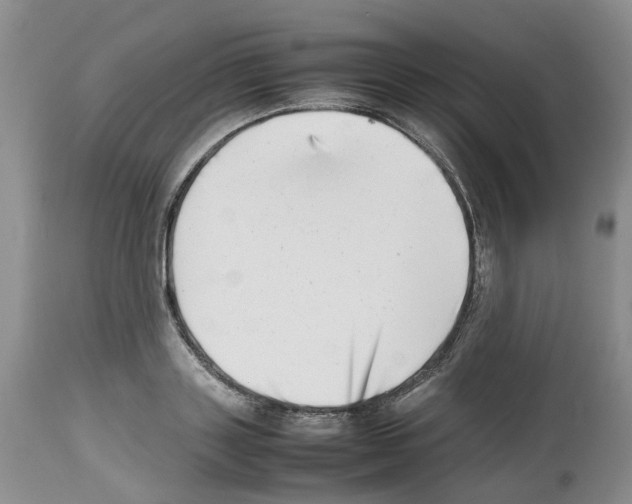 X0000112490843200909281131