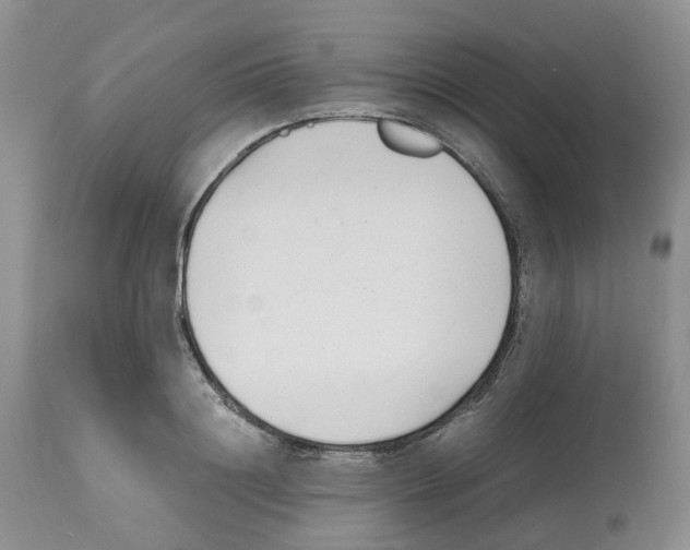 X0000112490844200909281131