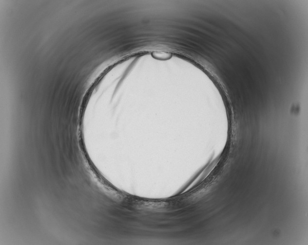 X0000112490845200909281131