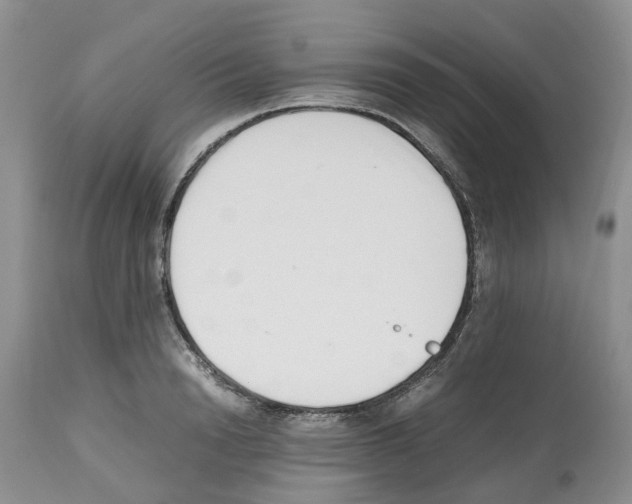 X0000112490846200909281131