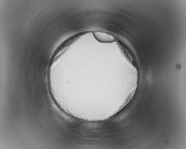 X0000112490847200909281131