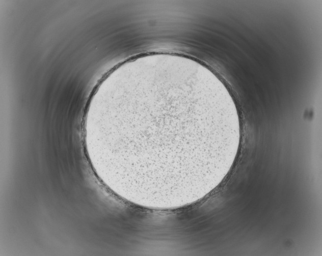X0000112490848200909281131