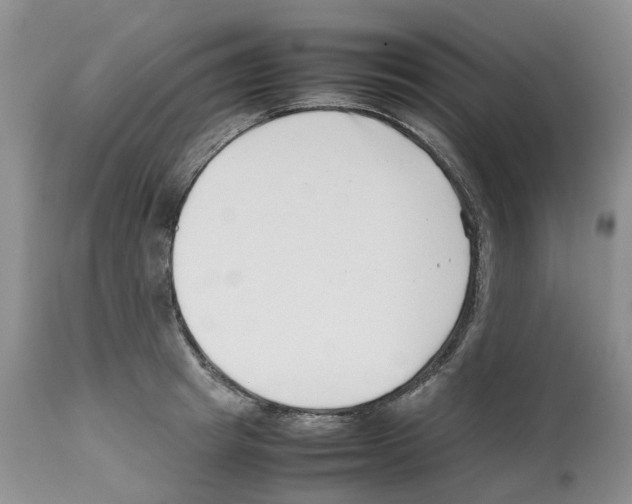 X0000112490849200909281131