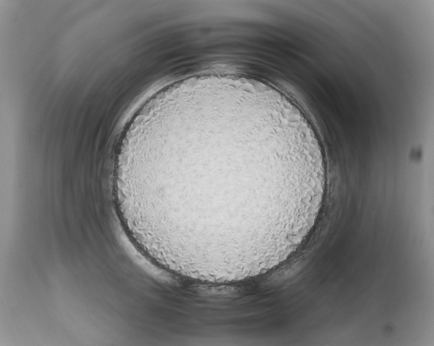 X0000112490851200909281131