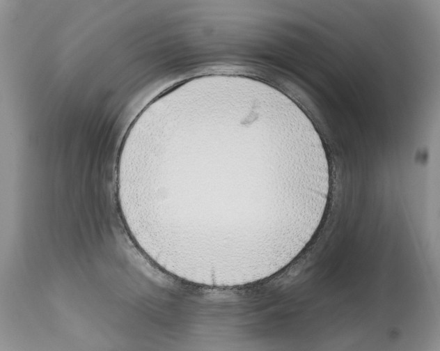 X0000112490852200909281131