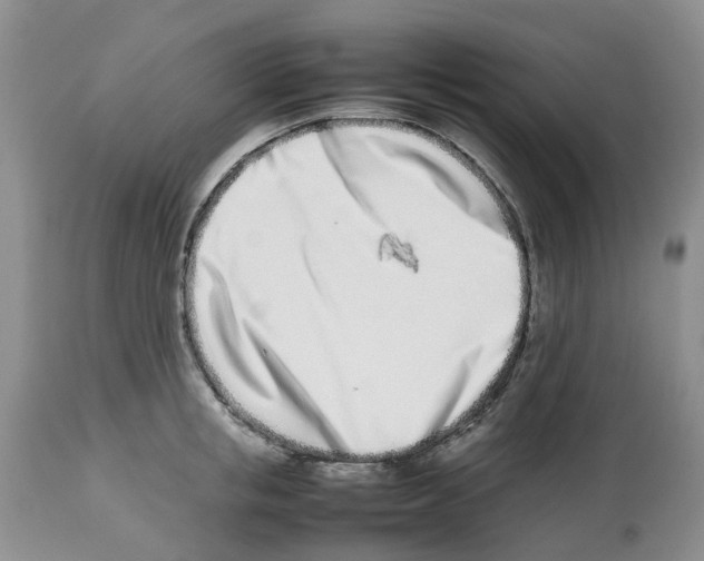 X0000112490853200909281131