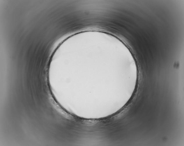X0000112490854200909281131