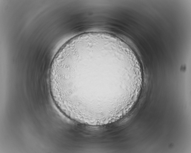 X0000112490855200909281131