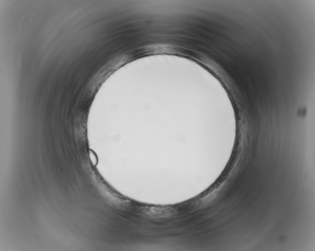 X0000112490857200909281131