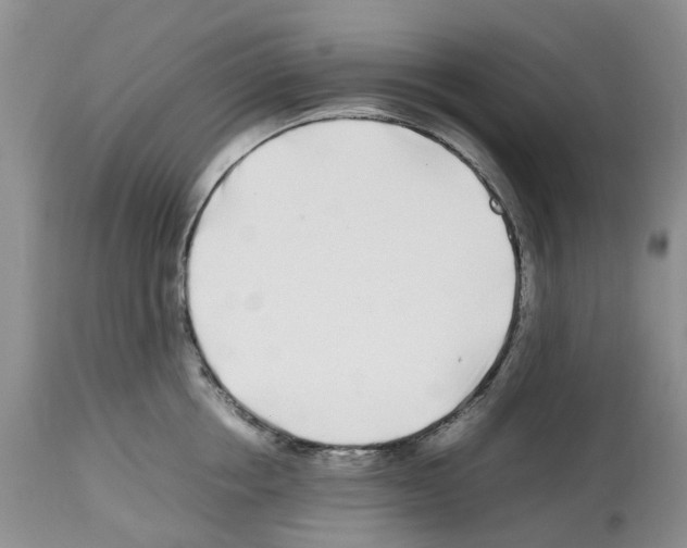 X0000112490858200909281131