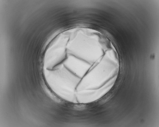 X0000112490859200909281131