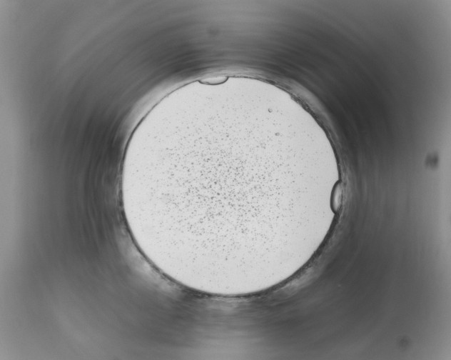 X0000112490860200909281131