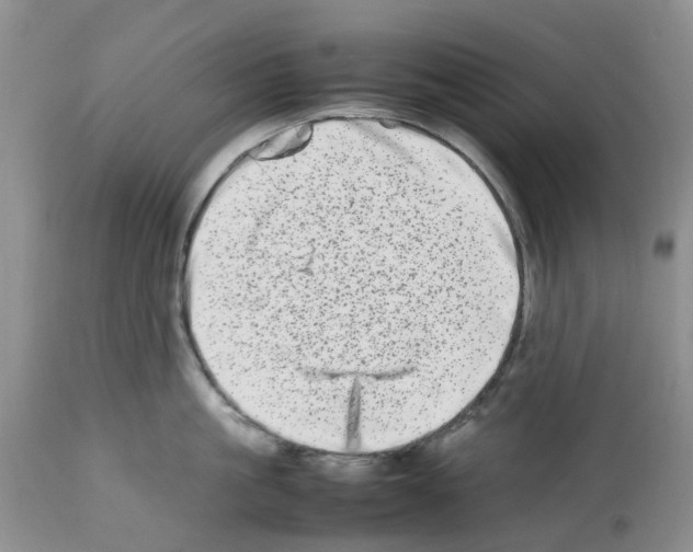 X0000112490861200909281131