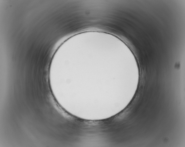 X0000112490862200909281131
