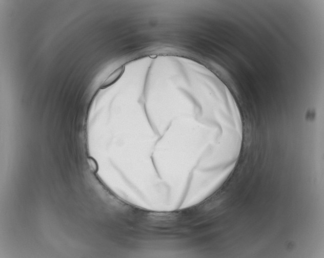 X0000112490863200909281131