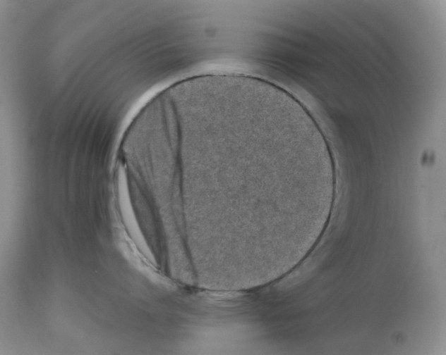 X0000112490864200909281131