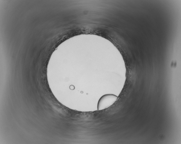 X0000112490865200909281130