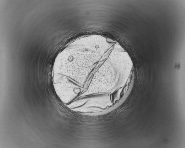 X0000112490868200909281130
