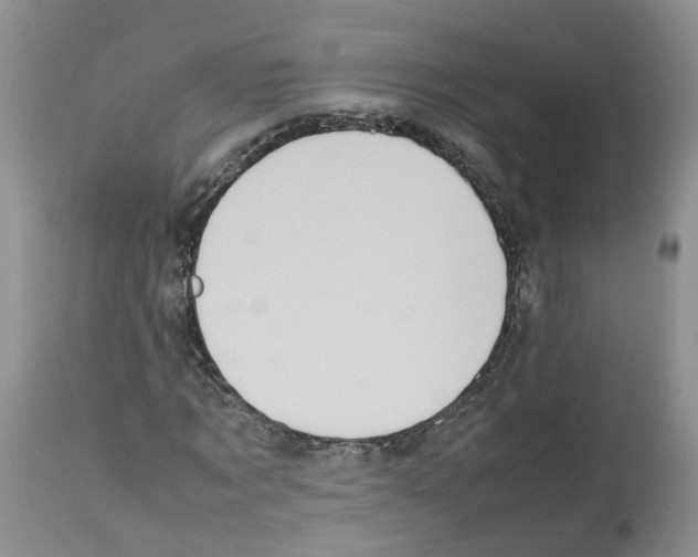 X0000112490869200909281130
