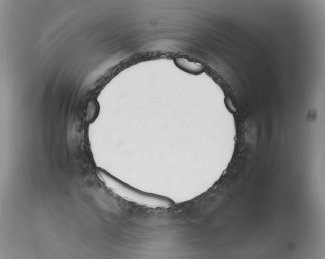 X0000112490872200909281130
