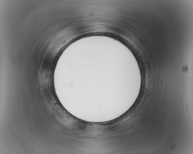 X0000112490873200909281130