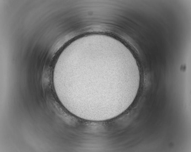 X0000112490874200909281130