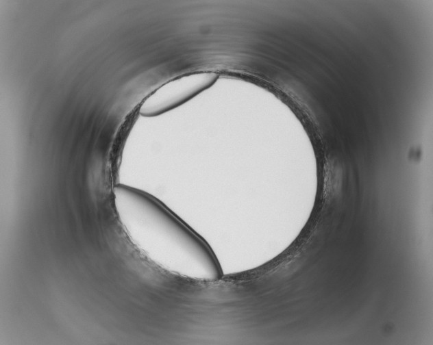 X0000112490876200909281130
