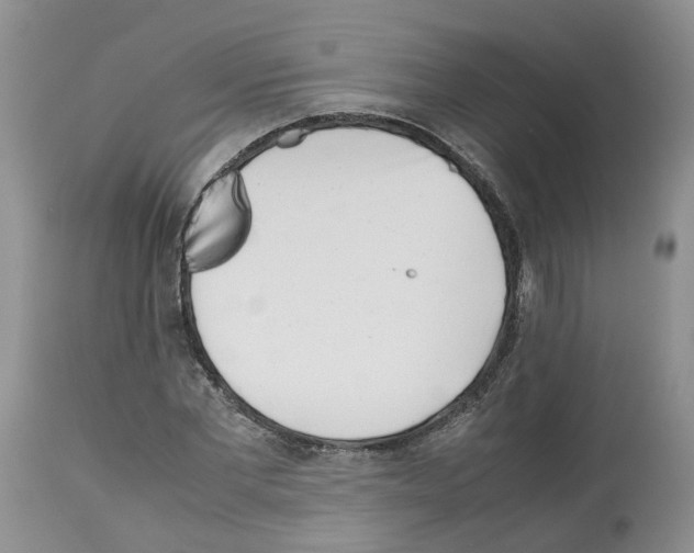 X0000112490877200909281130