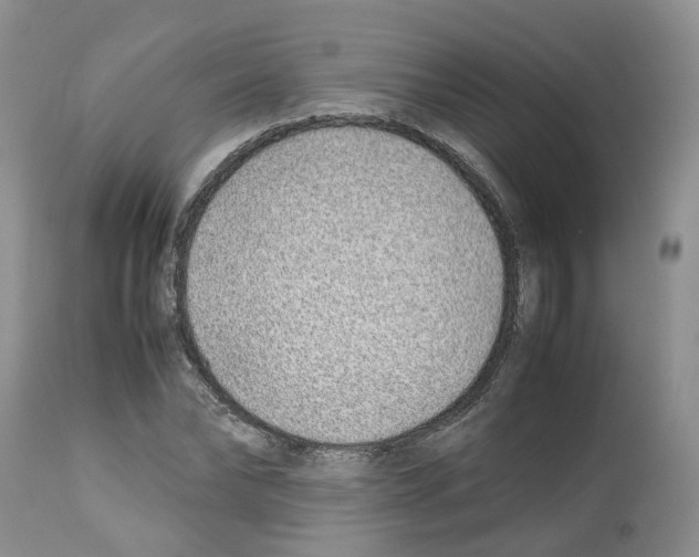 X0000112490878200909281130