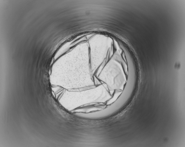 X0000112490881200909281130