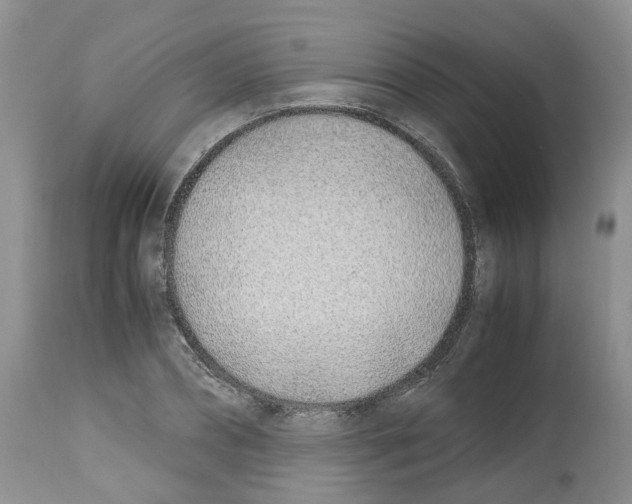 X0000112490882200909281130