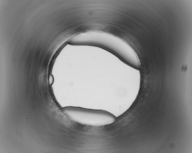 X0000112490884200909281130