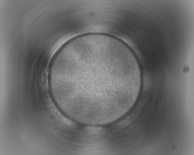 X0000112490886200909281130