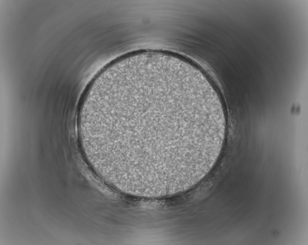 X0000112490887200909281130