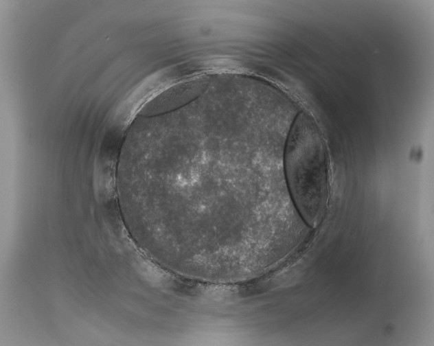 X0000112490889200909281130